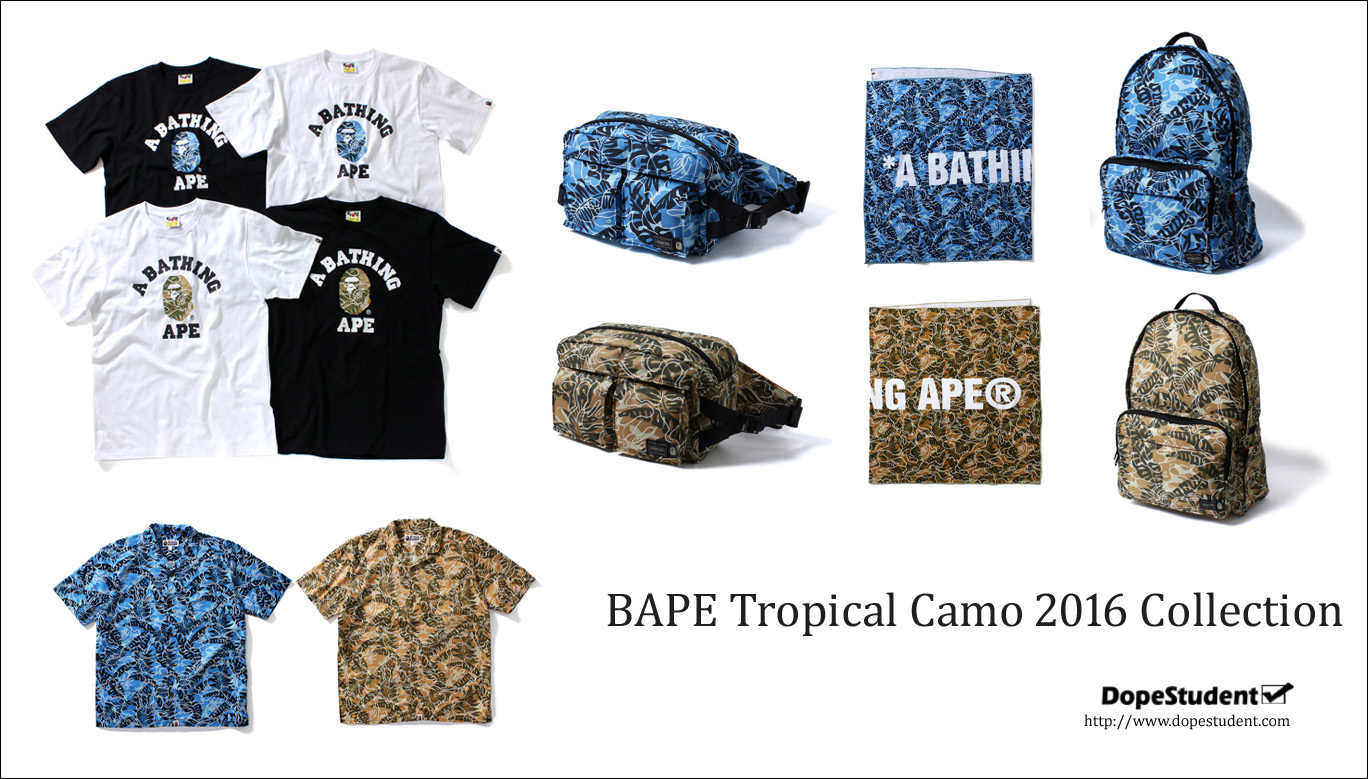 alltropicalcamo