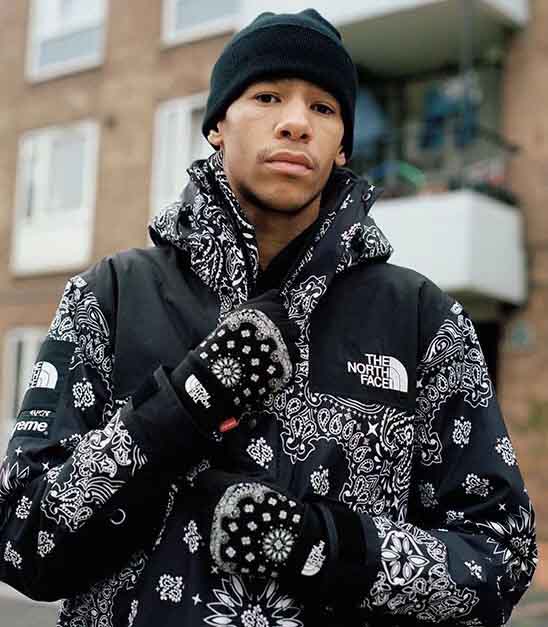 supreme x north face red bandana jacket