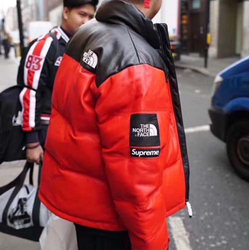 S TNF Nuptse Leather Color Down Jacket | Dopestudent