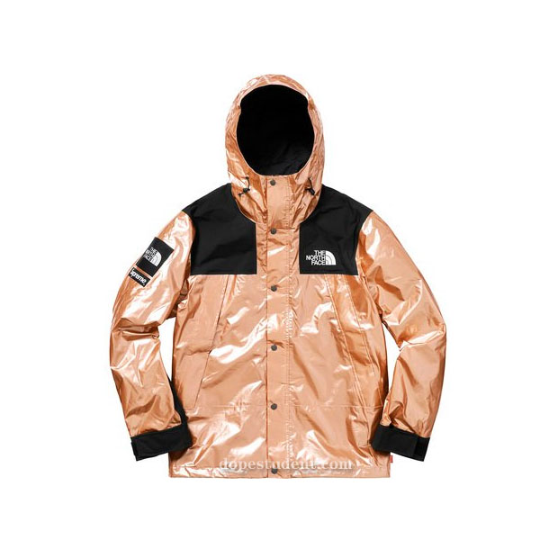 Supreme TNF Metallic Mountain Parka Jacket | Dopestudent