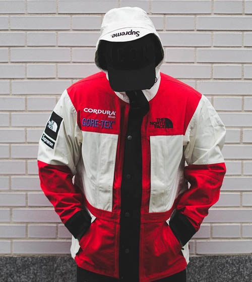 tnf expedition jacket