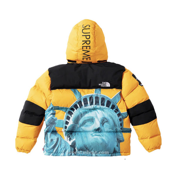 supreme statue of liberty jacket