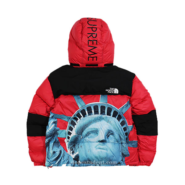 S Statue of Liberty Graphic Down Jacket | Dopestudent